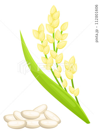 Rice cartoon icon. Farm crop. Cereal grain 112801606