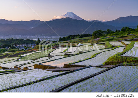 《山梨県》富士山と棚田の夜明け・初夏の日本の原風景《中野の棚田》 112802229