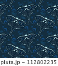 blue butterflies on a blue background 112802235