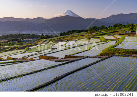 《山梨県》富士山と棚田の夜明け・初夏の日本の原風景《中野の棚田》 112802241