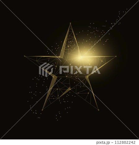 Polygonal vector illustration of five-pointed star. 112802242