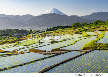 《山梨県》富士山と棚田の夜明け・初夏の日本の原風景《中野の棚田》 112802248