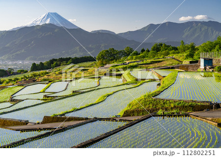 《山梨県》富士山と棚田の夜明け・初夏の日本の原風景《中野の棚田》 112802251