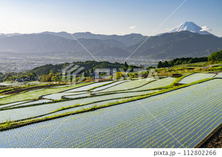 《山梨県》富士山と棚田の夜明け・初夏の日本の原風景《中野の棚田》 《山梨県》富士山と棚田の夜明け・初夏の日本の原風景《中野の棚田》 112802266