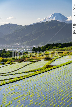《山梨県》富士山と棚田の夜明け・初夏の日本の原風景《中野の棚田》 112802267