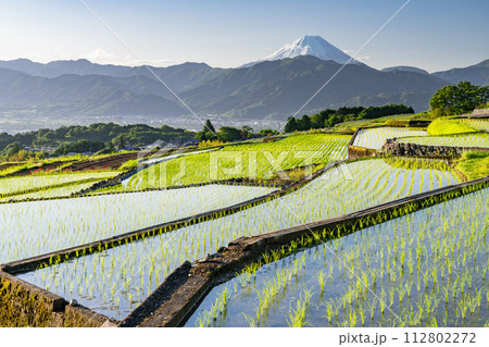 《山梨県》富士山と棚田の夜明け・初夏の日本の原風景《中野の棚田》 《山梨県》富士山と棚田の夜明け・初夏の日本の原風景《中野の棚田》 112802272