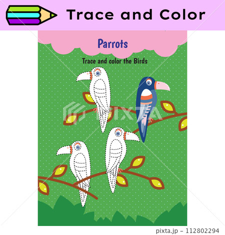 Pen tracing lines activity worksheet for children. Pencil control for kids practicing motoric skills. Parrots educational printable worksheet. Vector illustration. Pen tracing lines activity worksheet for children. Pencil control for kids practicing motoric skills. Parrots educational printable worksheet. Vector illustration. 112802294