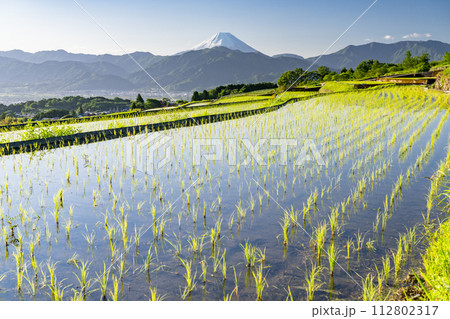《山梨県》富士山と棚田の夜明け・初夏の日本の原風景《中野の棚田》 112802317