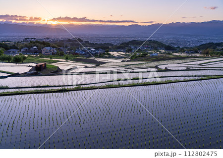 《山梨県》棚田の夜明け・初夏の日本の原風景《中野の棚田》 112802475