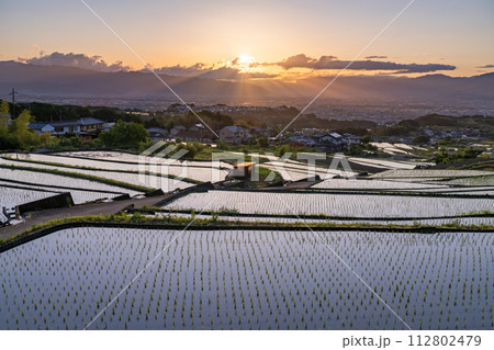 《山梨県》棚田の夜明け・初夏の日本の原風景《中野の棚田》 《山梨県》棚田の夜明け・初夏の日本の原風景《中野の棚田》 112802479