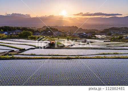 《山梨県》棚田の夜明け・初夏の日本の原風景《中野の棚田》 112802481