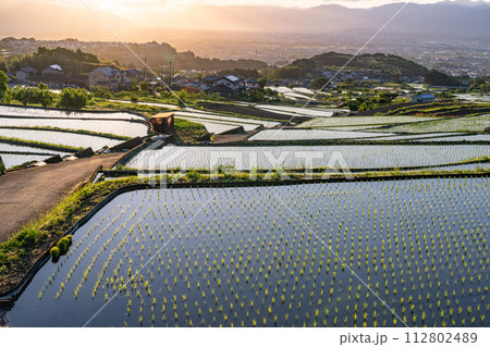 《山梨県》棚田の夜明け・初夏の日本の原風景《中野の棚田》 《山梨県》棚田の夜明け・初夏の日本の原風景《中野の棚田》 112802489
