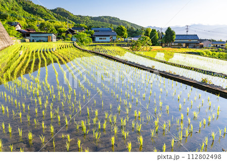《山梨県》棚田の夜明け・初夏の日本の原風景《中野の棚田》 《山梨県》棚田の夜明け・初夏の日本の原風景《中野の棚田》 112802498