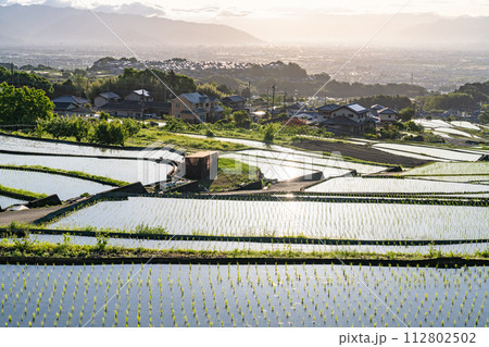 《山梨県》棚田の夜明け・初夏の日本の原風景《中野の棚田》 112802502