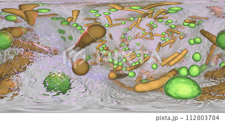 360-degree spherical panorama of bacterial biofilm 360-degree spherical panorama of bacterial biofilm 112803784