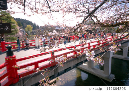 230402中橋桜s149 112804298