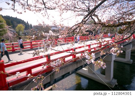 230402中橋桜s124 112804301