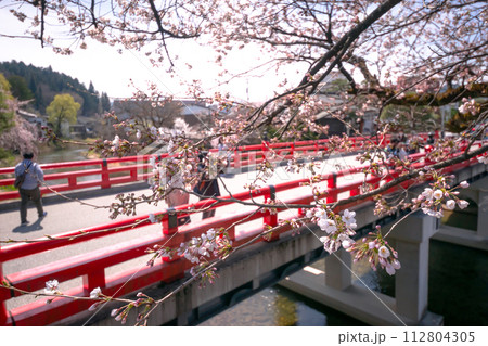 230402中橋桜s089 112804305