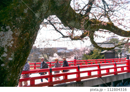 230402中橋桜z031 112804316