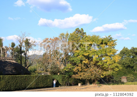 秋の京都嵯峨野:落柿舎周辺の風景 秋の京都嵯峨野:落柿舎周辺の風景 112804392