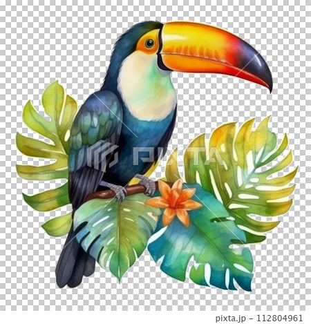 Toucan Painting on Branch With Flowers 112804961