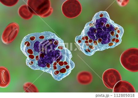 Histoplasma capsulatum fungus inside a macrophage cell, 3D illustration 112805018