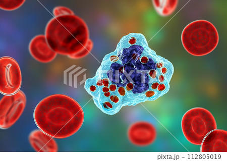 Histoplasma capsulatum fungus inside a macrophage cell, 3D illustration 112805019