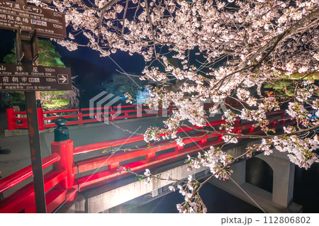 230403中橋夜桜s051 230403中橋夜桜s051 112806802