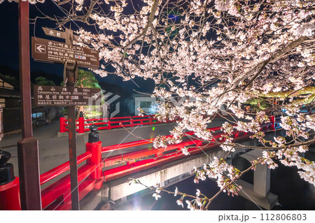 230403中橋夜桜s042 112806803