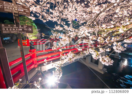230403中橋夜桜s025 230403中橋夜桜s025 112806809