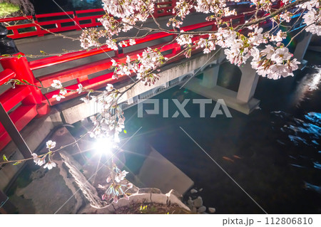 230403中橋夜桜s018 230403中橋夜桜s018 112806810