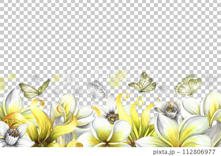 A border with fragrant flowers of plumeria, frangipani, orange blossom and ylang-ylang. Vintage delicate frame with tropical flowers and butterflies. Hand-drawn watercolor illustration. For postcards. 112806977