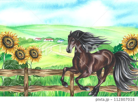 A galloping horse on the background of a rural landscape with a wooden fence and sunflowers. Hand-drawn watercolor illustration. A rustic style banner. For printing, packaging, postcards, decorations. 112807018