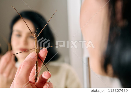 Young Woman Captured in a Beautiful Moment with Her Stick Insect (Medauroidea Extradentata) 112807489