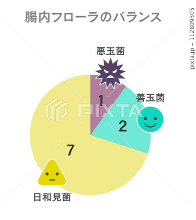 腸内フローラの最適なバランスの円グラフ デザイン 腸内フローラの最適なバランスの円グラフ デザイン 112809305