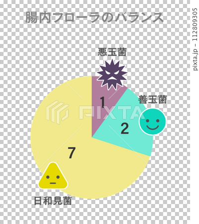 腸内フローラの最適なバランスの円グラフ デザイン 腸内フローラの最適なバランスの円グラフ デザイン 112809305