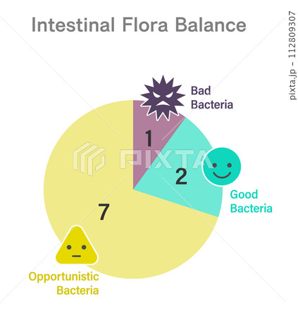 腸内フローラの最適なバランスの円グラフ　デザイン 112809307