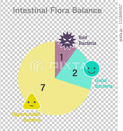 腸内フローラの最適なバランスの円グラフ　デザイン 112809307
