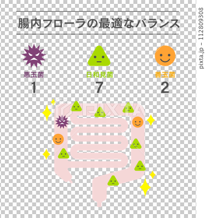 腸内フローラの最適なバランスのデザイン図 112809308
