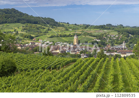 Vineyards with Arbois town, Department Jura, Franche-Comte, France Vineyards with Arbois town, Department Jura, Franche-Comte, France 112809535