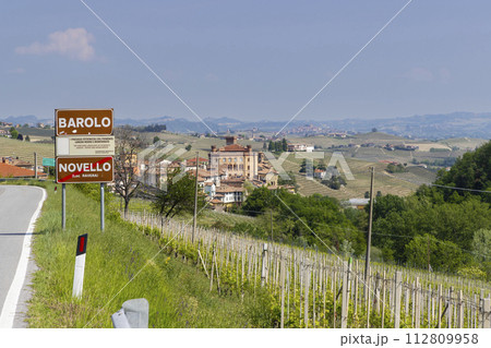 Typical vineyard near Barolo, Barolo wine region, province of Cuneo, region of Piedmont, Italy 112809958