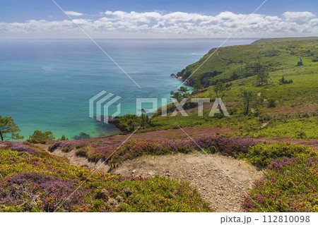Landscape in Cap de la Chevre, Crozon, Brittany, France 112810098