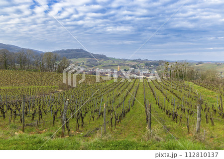 Vineyards with Arbois town, Department Jura, Franche-Comte, France Vineyards with Arbois town, Department Jura, Franche-Comte, France 112810137