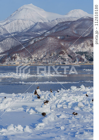 流氷とワシと知床連山　冬の北海道観光 112810180