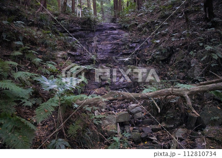 雅の滝　茨城県つくば市 112810734