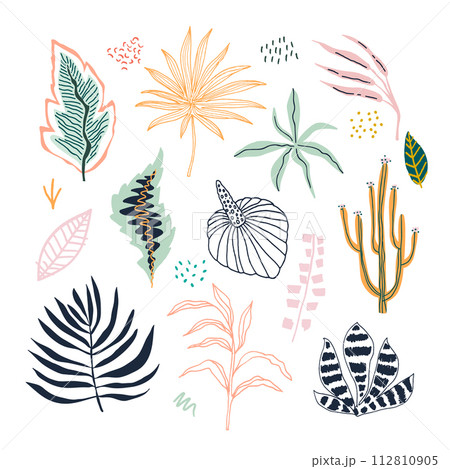 Tropical leaves jungle flat illustrations set. Jungle hand drawn clipart. Tropical foliage separate. Botanical floral collection. Vector illustration. 112810905