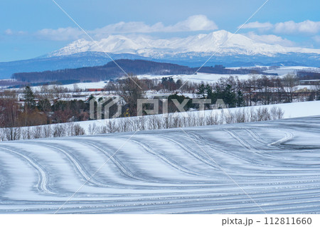 晩冬の美瑛　融雪剤が撒かれた雪原と大雪山・旭岳 112811660