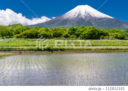 《山梨県》初夏大冠雪の富士山・新緑の富士吉田農村公園の田園風景 112812181