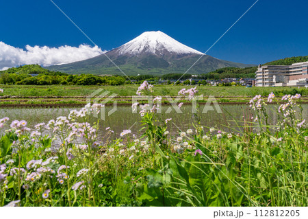 《山梨県》初夏大冠雪の富士山・新緑の富士吉田農村公園の田園風景 112812205