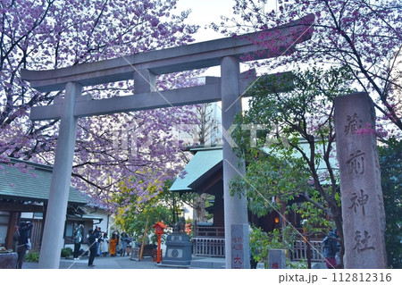 春の蔵前神社 東京 春の蔵前神社 東京 112812316